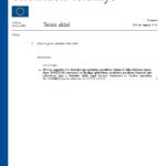 9 nėštumo savaitė nuovargis